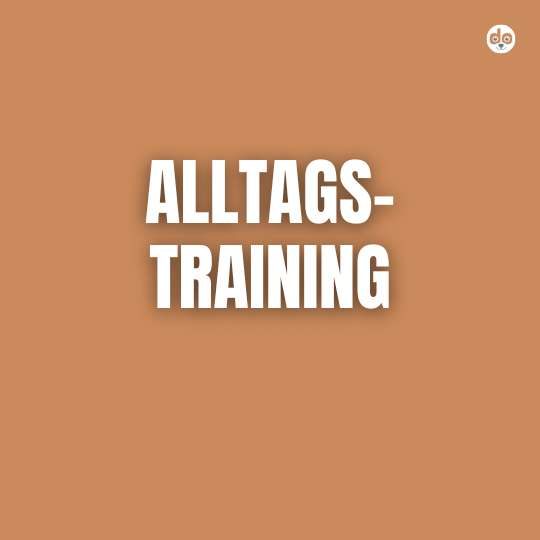 Alltagstraining