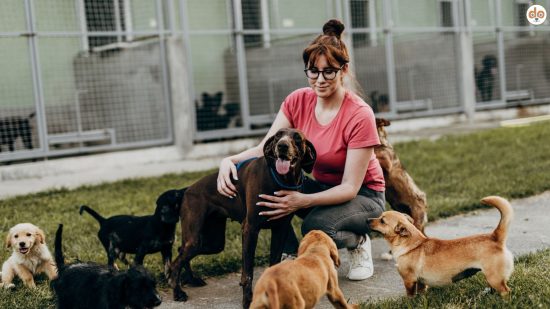 Tierheimhunde mit Mitarbeiterin im Auslauf, Zwinger im Hintergrund