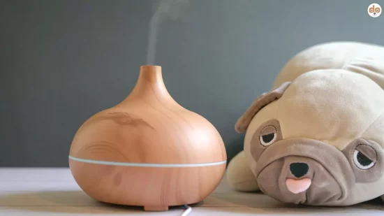 Aromatherapie kann für Haustiere giftig sein