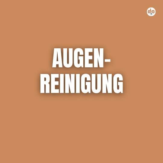 Augenreinigung