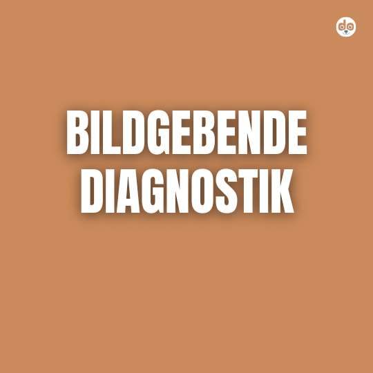 Bildgebende Diagnostik