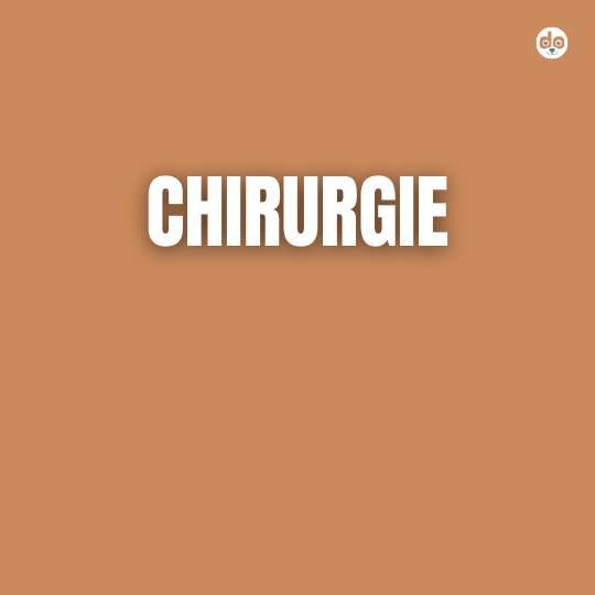 Chirurgie