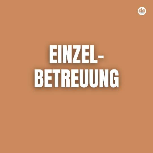 Einzelbetreuung
