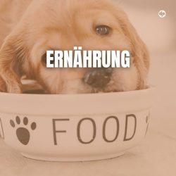 Ernährung