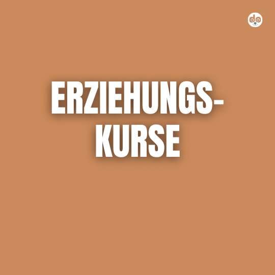 Erziehungskurse