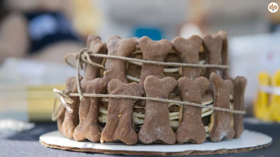 Feier, Hundetorte mit Leckerli