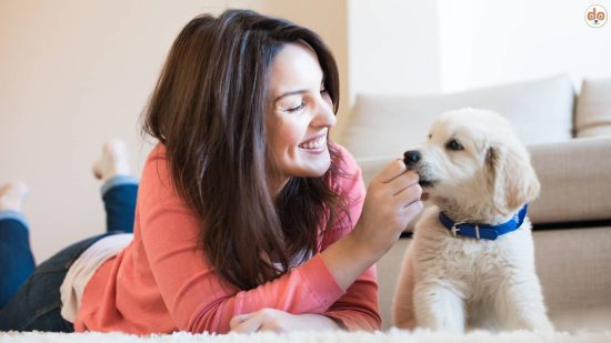 Frau mit süssem Welpen glücklich auf Wohnzimmer Boden