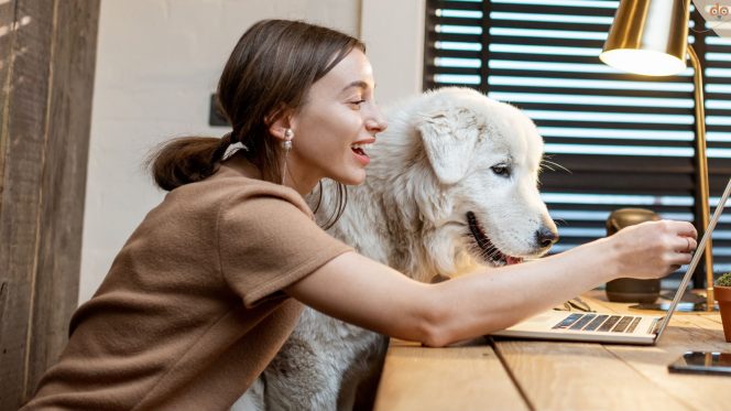 Mit Hund glücklich am Schreibtisch auf Computer schauen