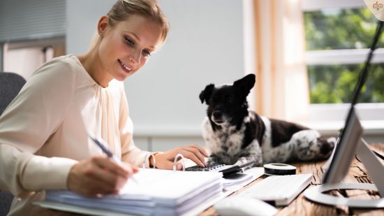 Hund auf Schreibtisch, während Frau arbeitet