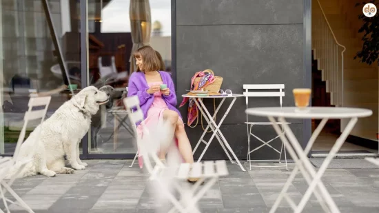 Hund in Strassenkaffee