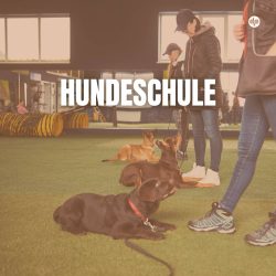 Hundeschule