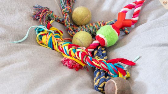 Osterbasteln, Hundespielzeug selber machen