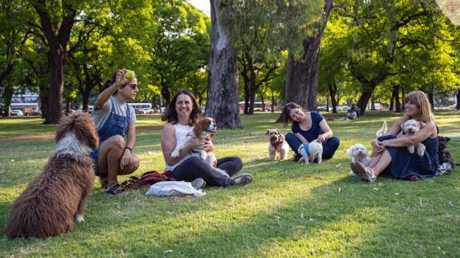 Hundetraining im Park, Ruhe und Pause