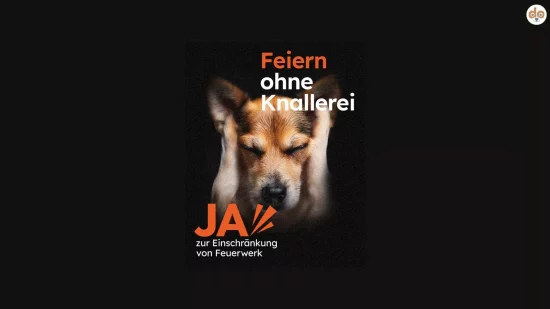 Ja zur Feuerwerksinitiative