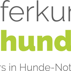 Logo nothelferkurs-hunde.com