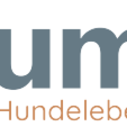 logo-rundumdog-580x113-1