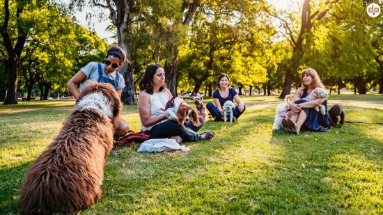 Menschen und Hunde in einer Gruppe im Park