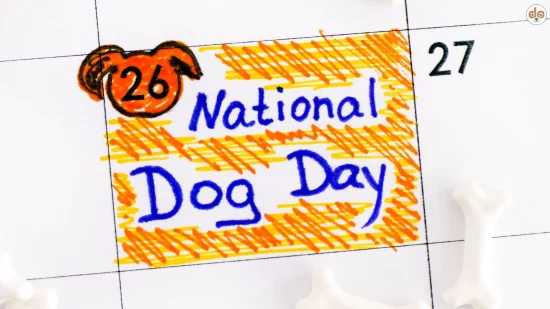 National Dog Day - Nationaler Tag des Hundes