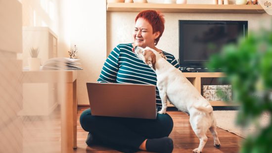 Mit Hund am Computer im Wohnzimmer. Online-Hundeschule