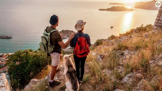Paar mit Hund auf Anhöhe an Küste Top 5 hundefreundliche Reiseziele Europa