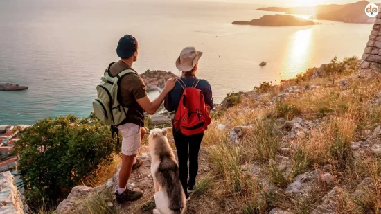 Paar mit Hund auf Anhöhe an Küste Top 5 hundefreundliche Reiseziele Europa