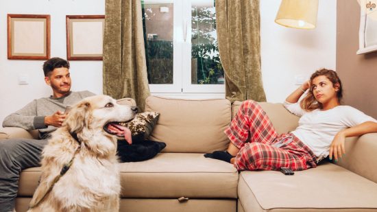 Bei einer Trennung der Hund dazwischen