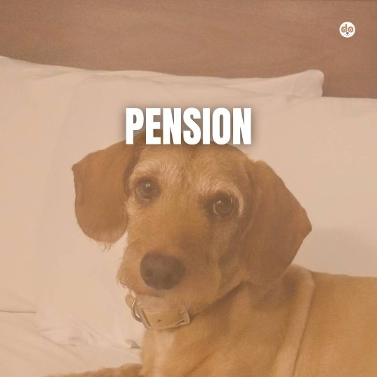 Pension