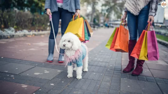 Shoppingtour Einkaufsbummel in der Stadt mit Hund