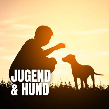 tag-jugend-hund-icon