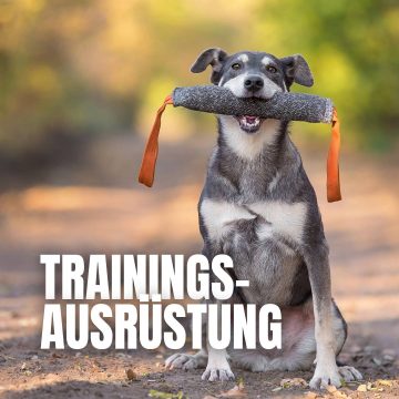 tag-trainingsausruestung-icon