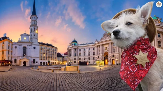 Symbolfoto für Hundesheriffs in Wien Österreich