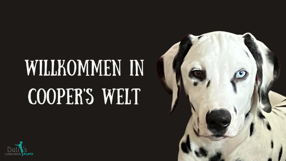Coopers-Welt-Thumbnail-1