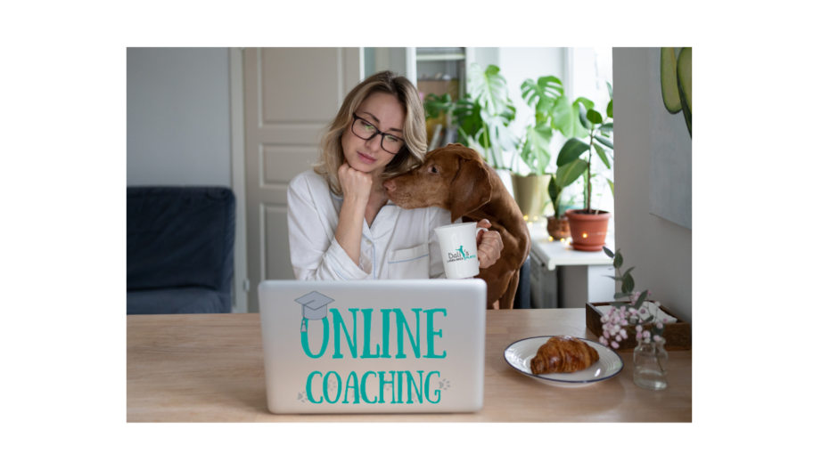 Online_Coaching_Dalis