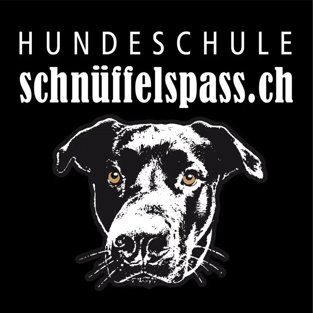 Fellpflege und Zahnhygiene im Alltag