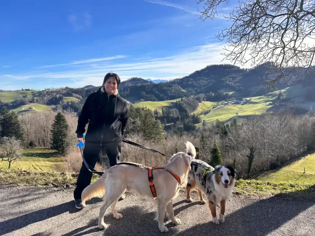 Wundervolle Spazierwege im Tannzapfenland