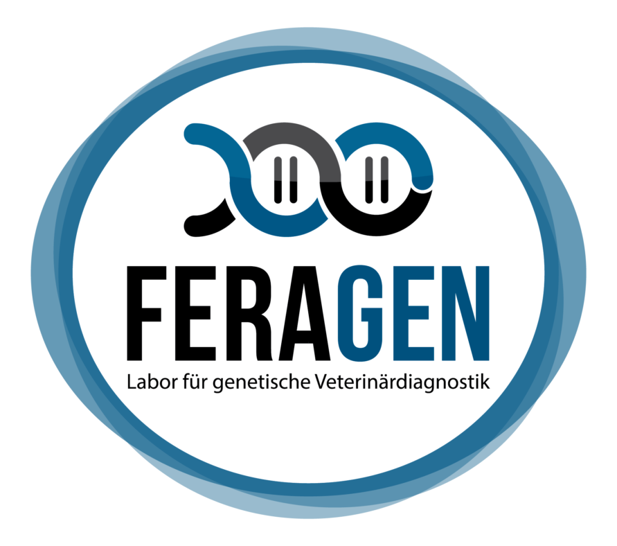 Logo_FeraGen_Standart_TRANSPARENT