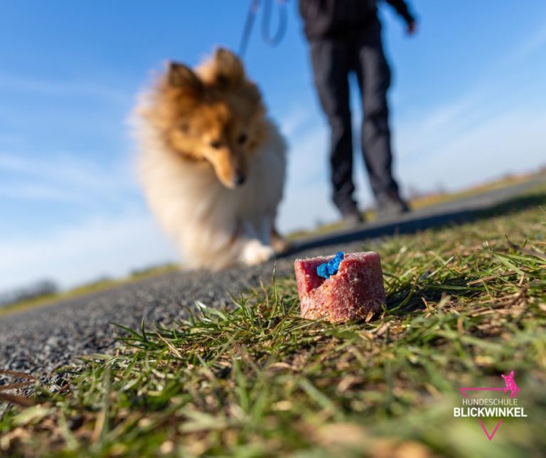Vorsicht vor Hunde Giftködern