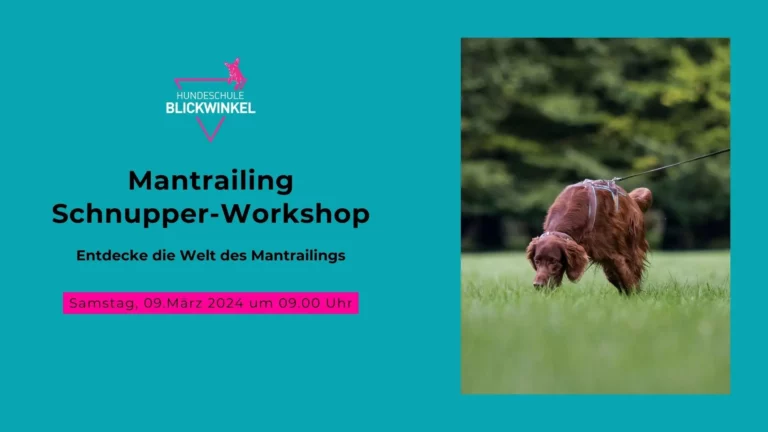 Mantrailing Schnupper-Workshop