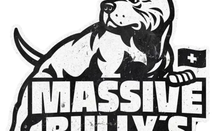 Massiven Bully Schweiz