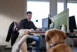 Hund am Arbeitsplatz – Die Tipps von tradidog