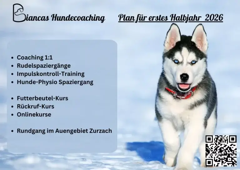 Rudelspaziergang