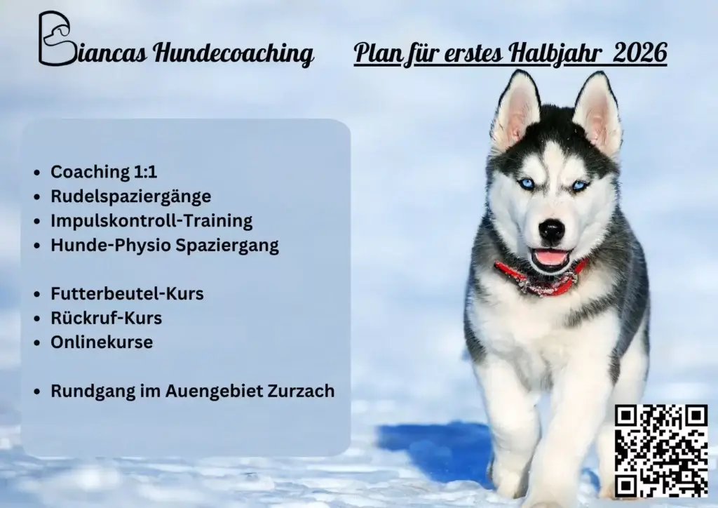 Rudelspaziergang