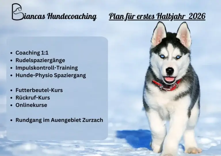 Rudelspaziergang