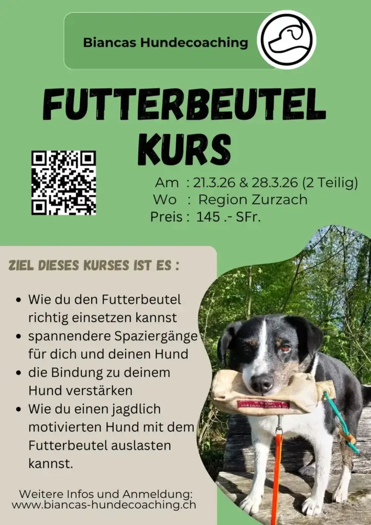 Futterbeutel Kurs für Einsteiger