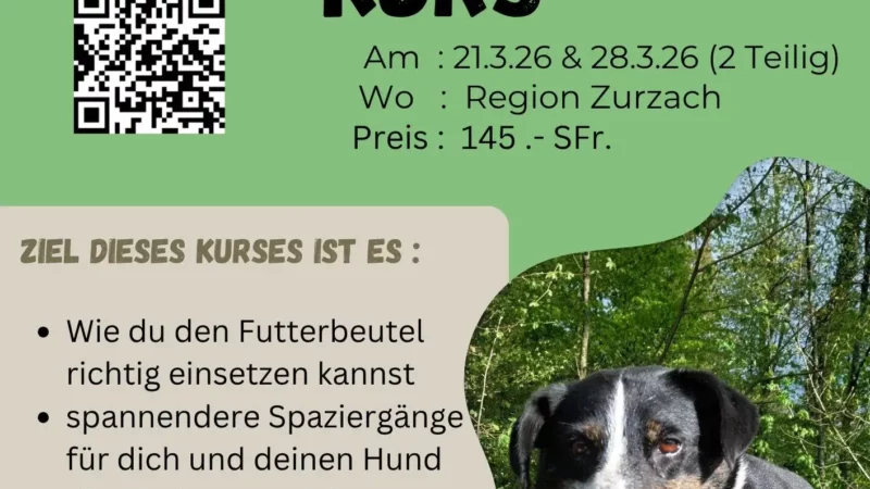 Futterbeutel Kurs für Einsteiger - Futterbeutel