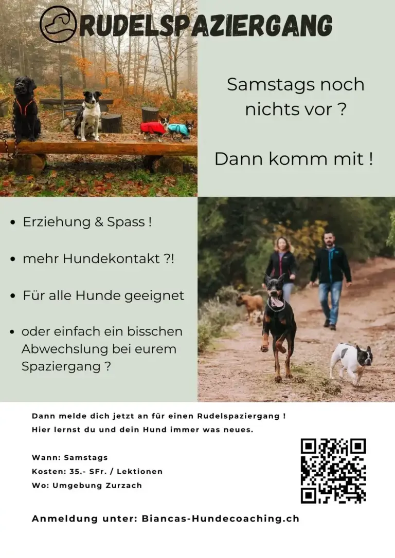 Rudelspaziergang