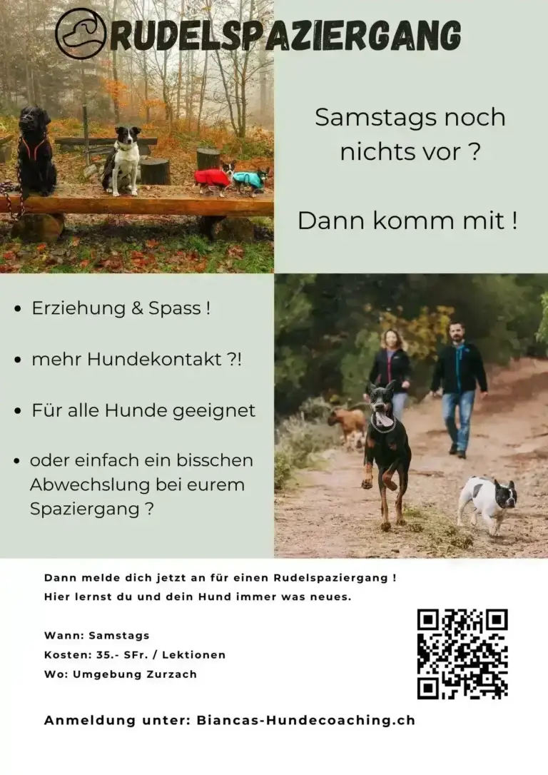 Rudelspaziergang