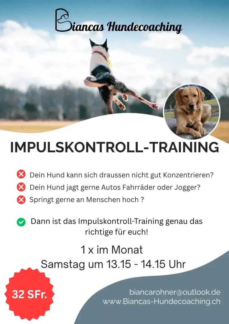 Impulskontroll-Training