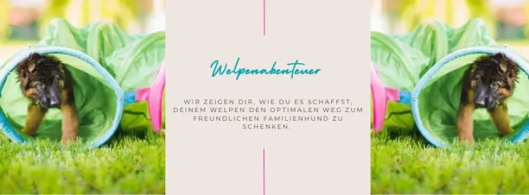 Welpenabenteuer