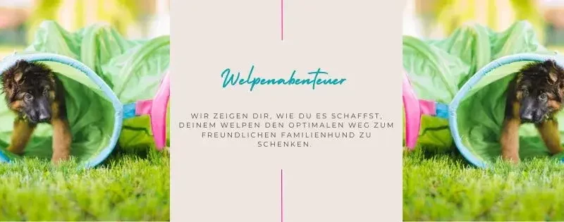 Welpenabenteuer - FB Veranstaltung Titelbild 1